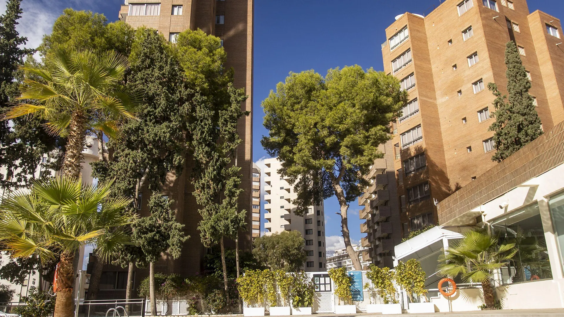 5 Hoteles Familiares en Rincón de Loix que Merece la Pena Reservar