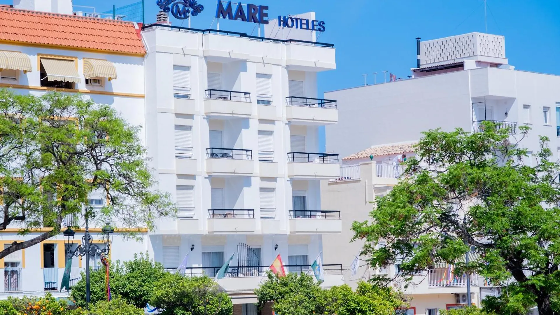 Dónde Alojarse en Estepona: Los 4 Mejores Hoteles