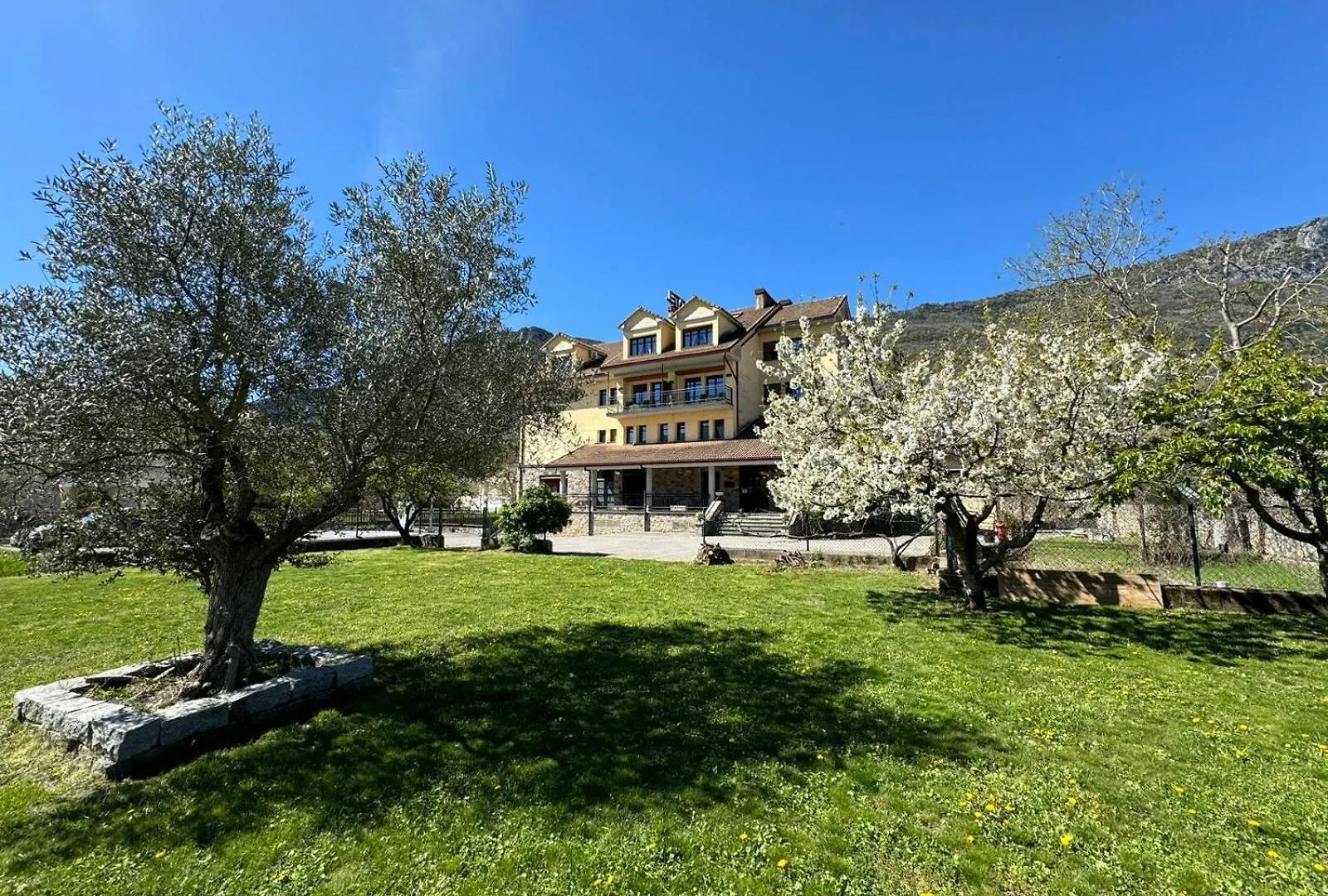 Dónde Alojarse en los Pirineos: 15 Hoteles Baratos que Valen la Pena